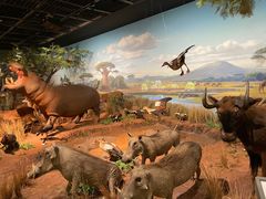 -陕西自然博物馆