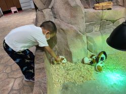 -宝燕乐园(闵行旗舰店)