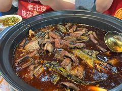 鳝鱼-金海椒罐罐鲢鱼(东方桂苑店)