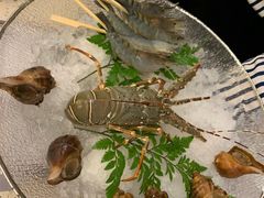 -白仁仔· 活烤海鲜 宵夜(豫园店)