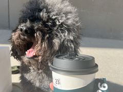 -2326 Coffee Roaster咖啡豆可选店(林肯公园店)