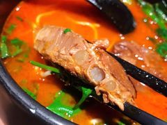 香草番茄汤.猪软骨面-和府捞面(东直门银座店)