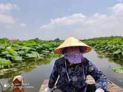 -荷塘月色湿地公园·向阳花洲