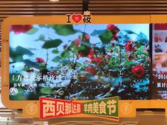 -西贝(南开大悦城店)