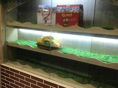 -百果园PAGODA(玄武成贤街店)