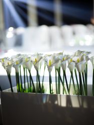 -御宴宫·宴会厅