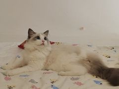 -猫遇摄影工作室