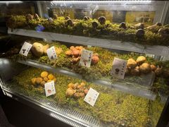 -滇野云南野生菌餐厅(陕西南路店)