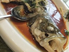 -寻味顺德·珍之宝酒楼(银钻店)