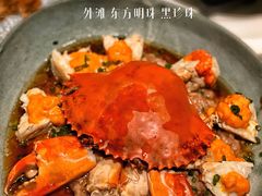 -三号黄浦会Canton Table