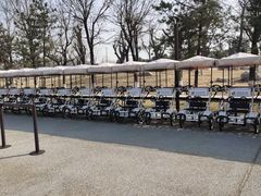 -汉长安城未央宫国家考古遗址公园