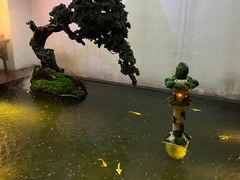 -觀芷隐轩