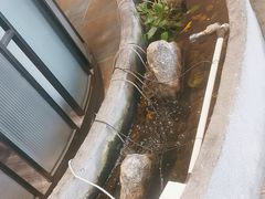 -荷塘码头·活鱼现杀(椒江店)