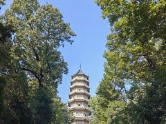 -灵谷景区