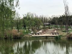 -白鹭湾湿地公园