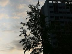-四川大学(江安校区)