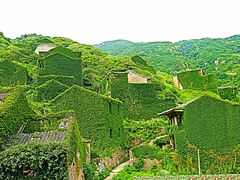 -枸杞岛