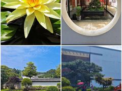 -东方艺术博物馆