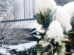 -上海市龙华烈士陵园