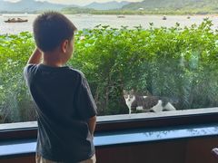 -湖畔居茶楼(湖滨店)