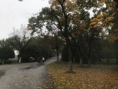 -梁鸿国家湿地公园