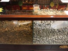-延福橄榄(三坊七巷店)