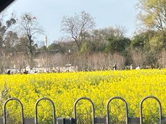 -黔灵山公园