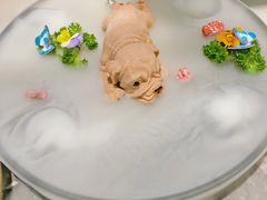 -稻鲜记潮汕砂锅粥