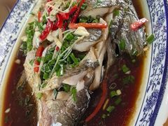 -芦茨金富饭庄·25年老字号·专做稻草鸡
