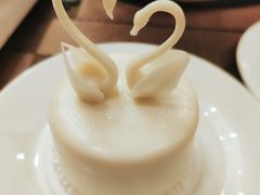 -BLACKSWAN黑天鹅(环球店)