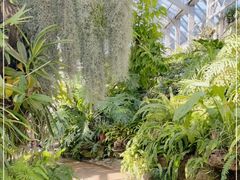 -国家植物园南园