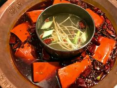 -锅说大脸毛肚重庆老火锅(佐阾店)
