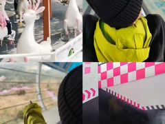 -盈香心动乐园