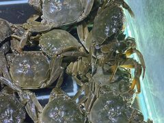 -聚盛源蒸汽海鲜火锅烤肉自助(巨川金海岸购物广场店)