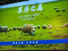 -羊之道草原味道清真餐厅(番禺店)