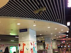 -上海动物园(地铁站)