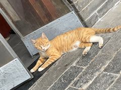 -万寿八仙宫