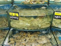 -渔中舟海鲜大排档(普陀沈家门店)