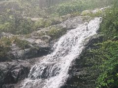 -东白山