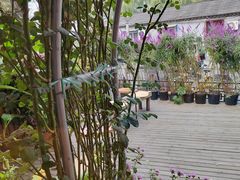 -萤火虫咖啡(后海店)