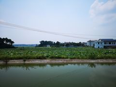 -小洞天柴火土菜馆