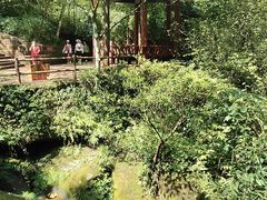 -赤水丹霞旅游区·佛光岩