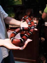 -酷嗒动物文化乐园(cutezoo西溪乐天城店)