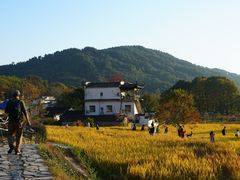 -塔川景区