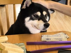 -柴の食堂·日式家庭料理·熊之肆(大学路店)
