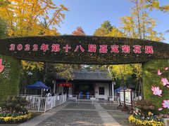-汇龙潭