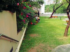 -九龙公园