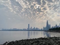 -深圳湾公园(南山区)
