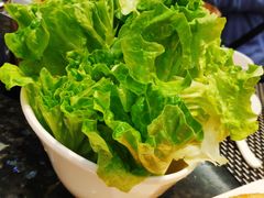 生菜-新兴·金羊座·粤菜点心(乐峰店)