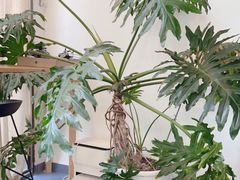 -聚·咖啡(南国奥园店)